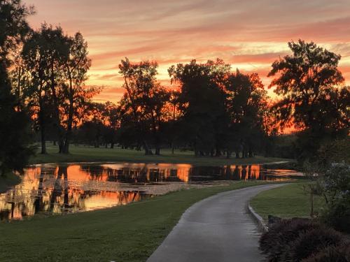 44B51BA7-70DA-4A10-BA87-03AF8F516605