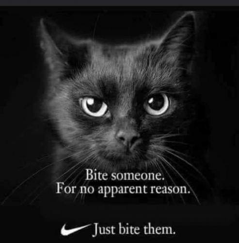 02:51:22 GMT-0800 (PST)