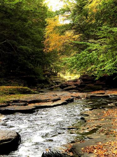 16:01:55 GMT-0500 (EST).image