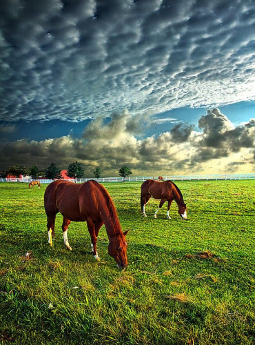 126499295_3803954786306002_8704077010782942322_n