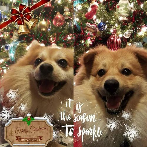 08:38:25 GMT-0500 (EST).image