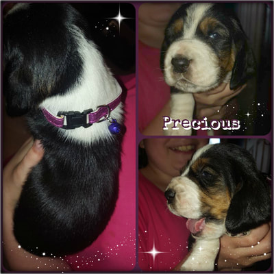 precious-2wks