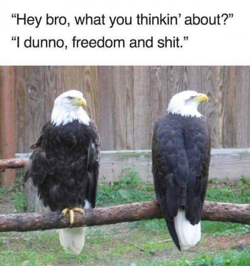 09:47:12 GMT-0800 (PST)