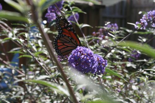 15E42728-8C4C-4A76-8DD2-C91A1932FF42