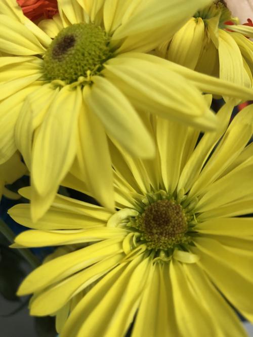 17:54:04 GMT-0500 (EST)