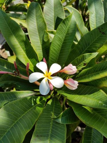 15:33:45 GMT-0800 (PST)