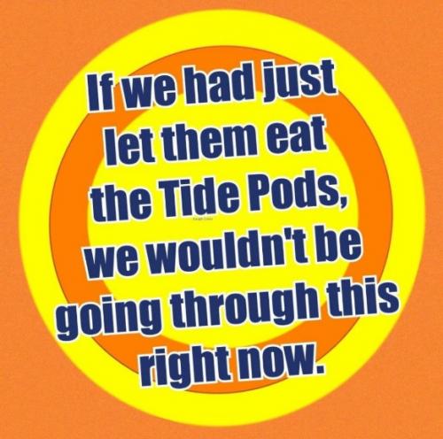 Political if we had just let them eat the tide pods