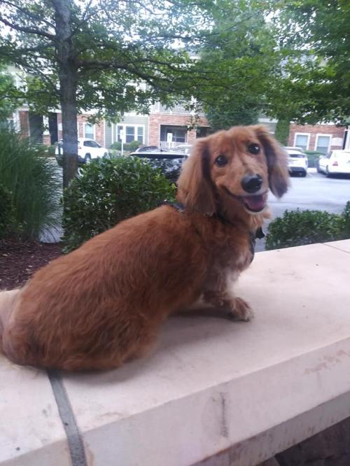 118194400_10214950806838348_3460573942232868826_n