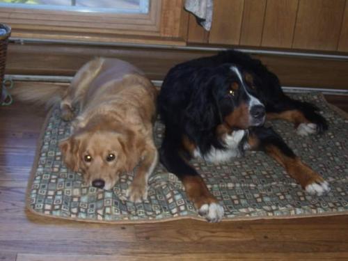 07:55:14 GMT-0500 (EST)