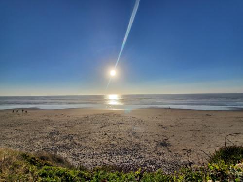 16:20:37 GMT-0800 (PST)