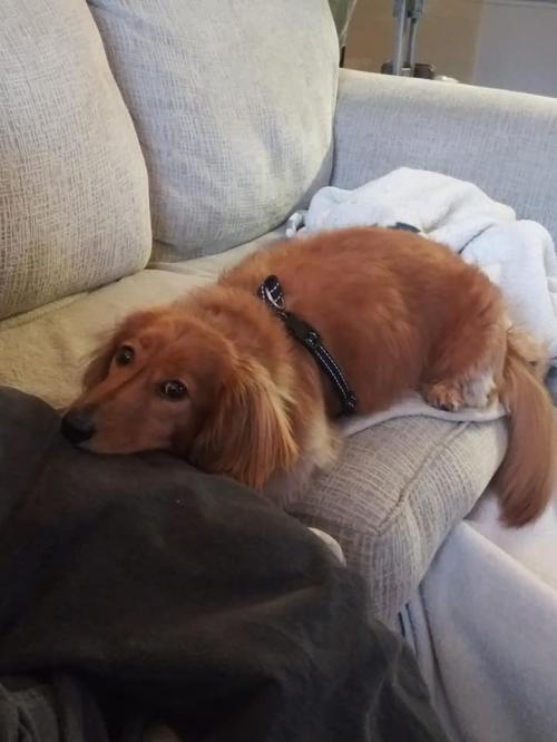 119871424_10215102022338641_6123248474788000141_n