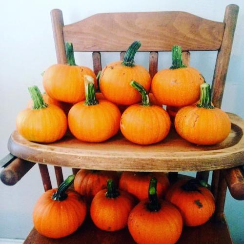 IMG_20200728_193357_216