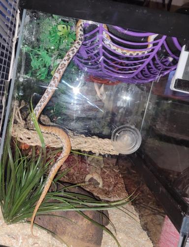 17:54:40 GMT-0500 (EST)