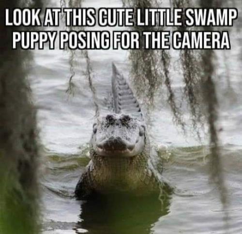 11:17:26 GMT-0500 (EST)