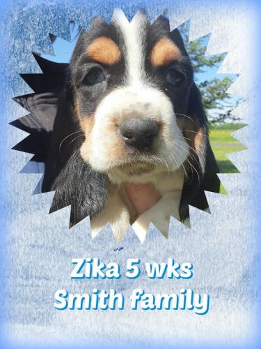 101946875-1652339188253989-4040626234743324672-o