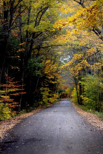 12:33:41 GMT-0500 (EST).image