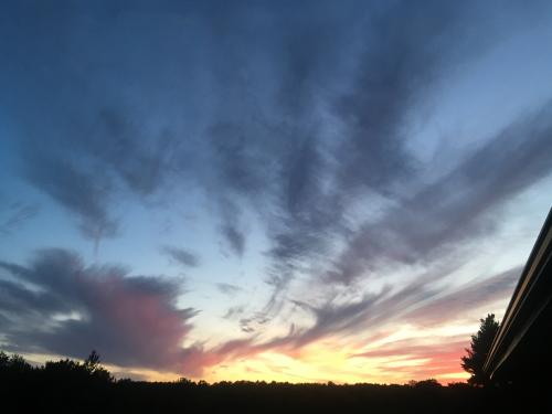 18:55:54 GMT-0600 (CST).image