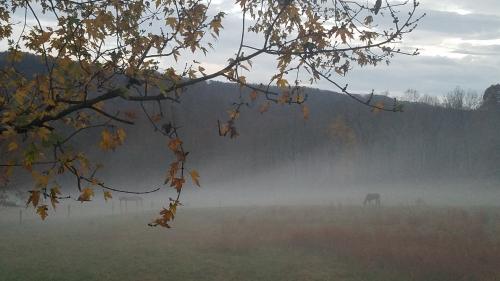 inbound4338847764756940914