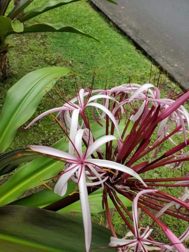 15:06:59 GMT-0800 (PST)