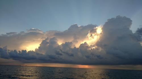 14:02:20 GMT-0600 (CST).image