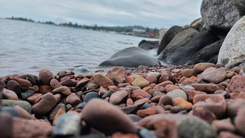 22:38:38 GMT-0600 (CST)