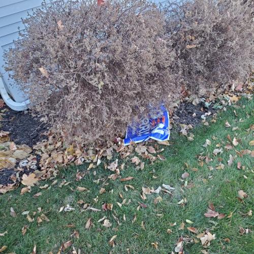 14:35:38 GMT-0600 (CST)