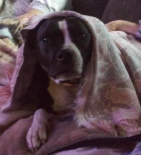 06:05:43 GMT-0500 (EST)