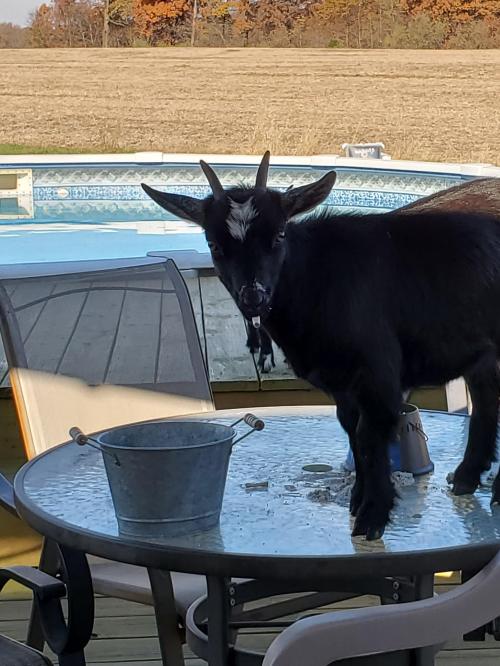 19:00:38 GMT-0600 (CST)