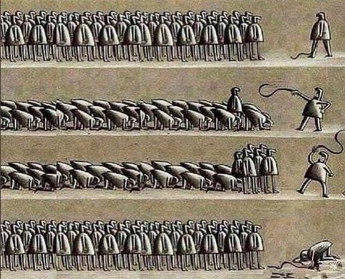 126820857_3683494818368851_1870679280570179109_n