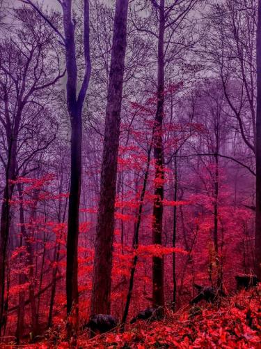 14:17:27 GMT-0500 (EST)