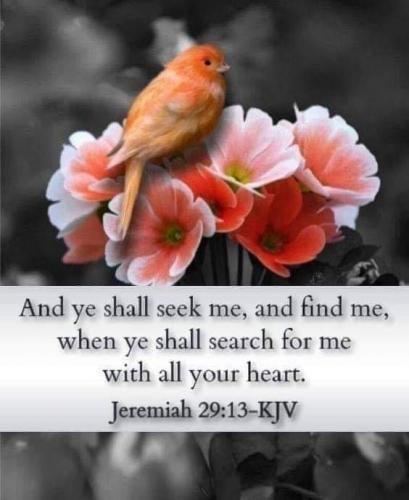 09:39:38 GMT-0600 (CST)