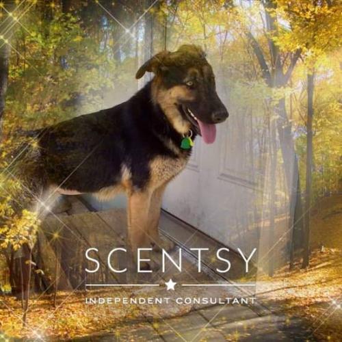 09:59:40 GMT-0600 (CST)