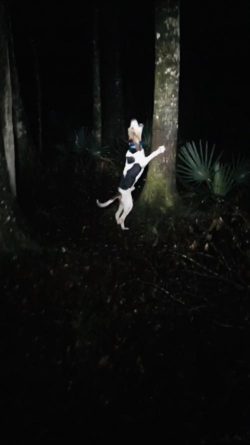 13:04:02 GMT-0500 (EST).image