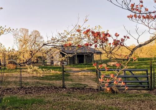 08:01:52 GMT-0600 (CST)