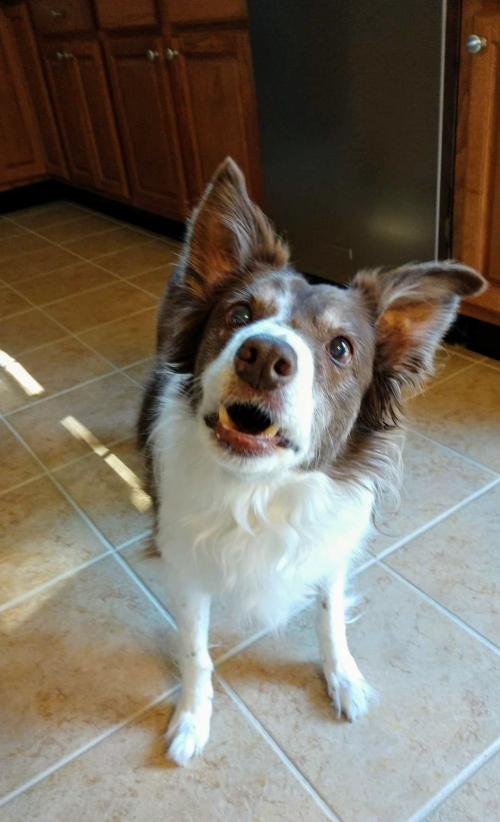 inbound2371291884393766544