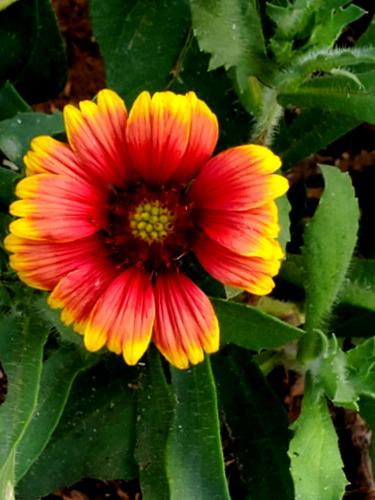 15:21:27 GMT-0800 (PST)