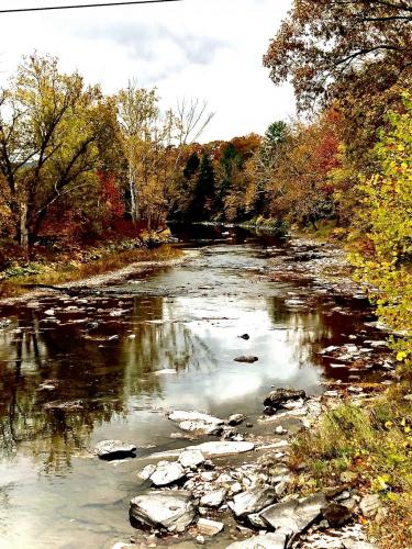 15:53:35 GMT-0500 (EST).image