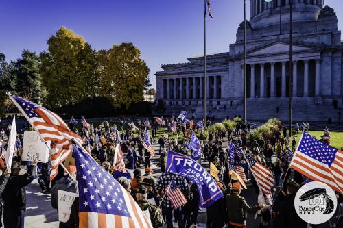 Stop The Steal WA_11-08-2020-29