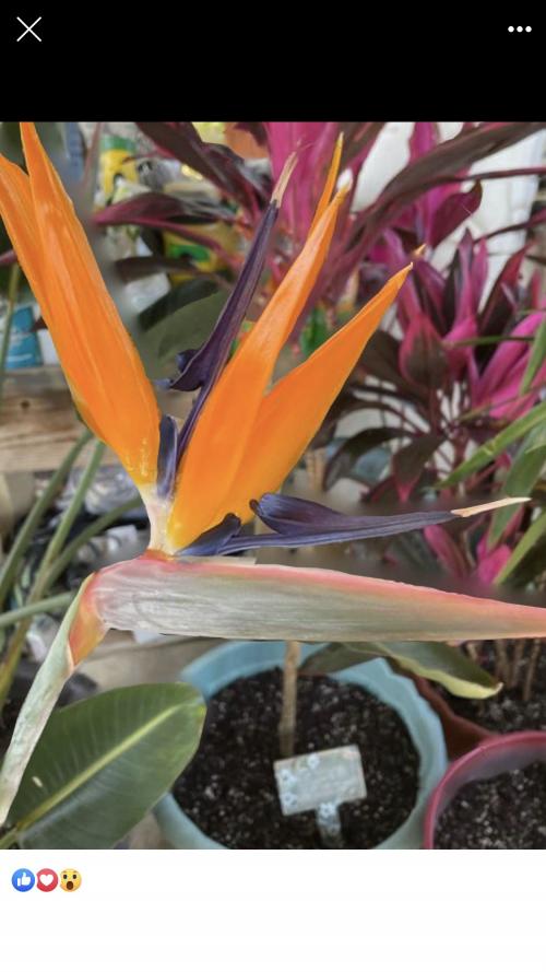 21:46:39 GMT-0600 (CST).image