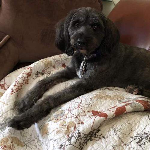 12:01:22 GMT+0000 (GMT)