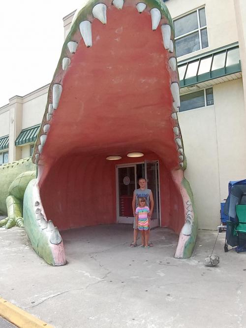 inbound184028101068830382