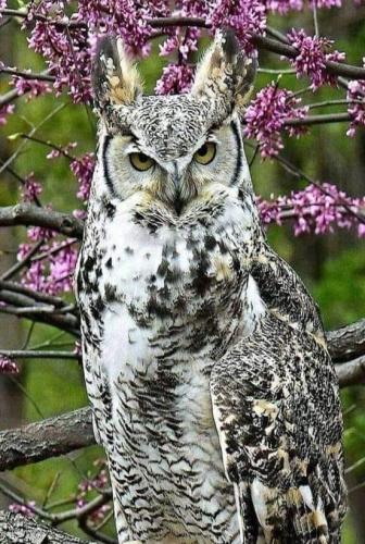 126137740_839420816846931_7954058851518714859_n