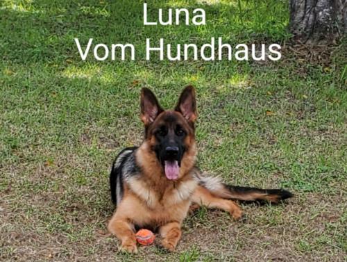 08:19:49 GMT-0500 (EST)