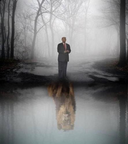 Trumpswamp