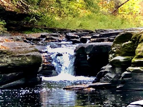 16:01:55 GMT-0500 (EST).image