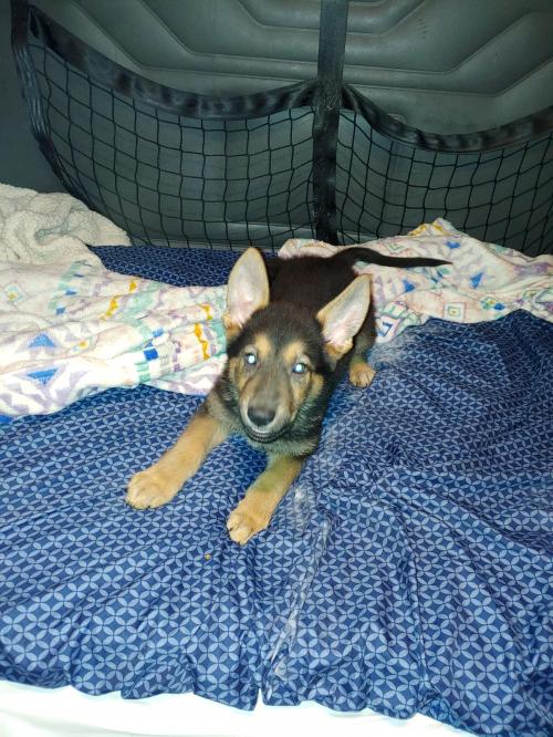 11:12:35 GMT-0500 (EST)