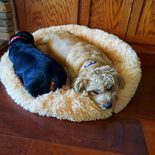 10:26:29 GMT-0600 (CST)