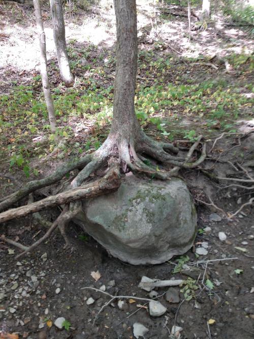 08:21:34 GMT-0500 (EST)