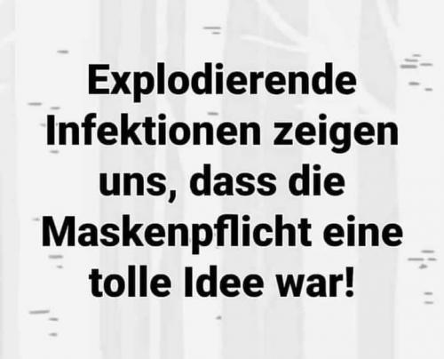 122678792_198415515135771_3678271036399656989_n
