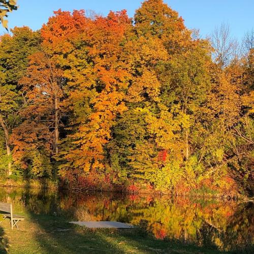 21:55:51 GMT-0600 (CST).image